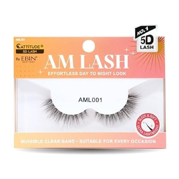 EBIN #AML001 AM LASH