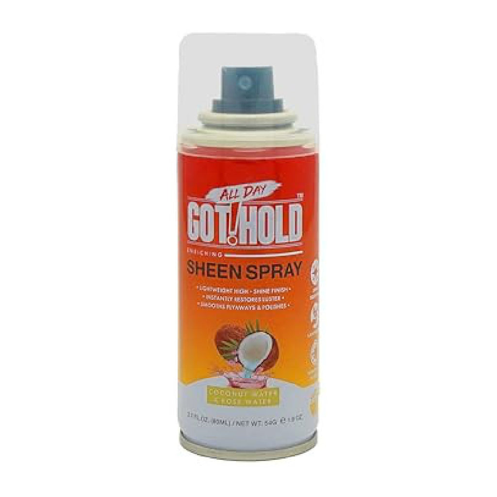 EBIN ALL DAY GOT HOLD SHEEN SPRAY 2.7 OZ