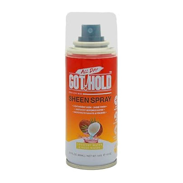 EBIN ALL DAY GOT HOLD SHEEN SPRAY 2.7 OZ
