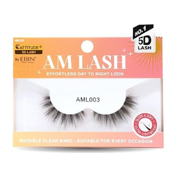 EBIN #AML003 AM LASH