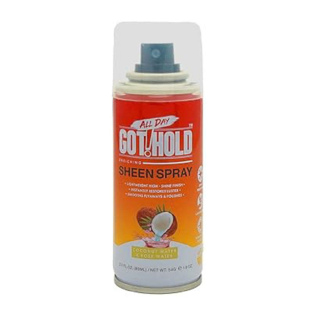 Ebin All Day Got Hold Sheen Spray 2.7 oz