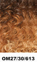 Shake N Go Freetress Equal Synthetic Hair Wig ERICA