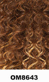 Shake N Go Freetress Equal Synthetic Hair Wig ERICA