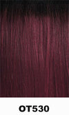 FREETRESS EQUAL SYNTHETIC HAIR LACE FRONT WIG FREEDOM PART 202